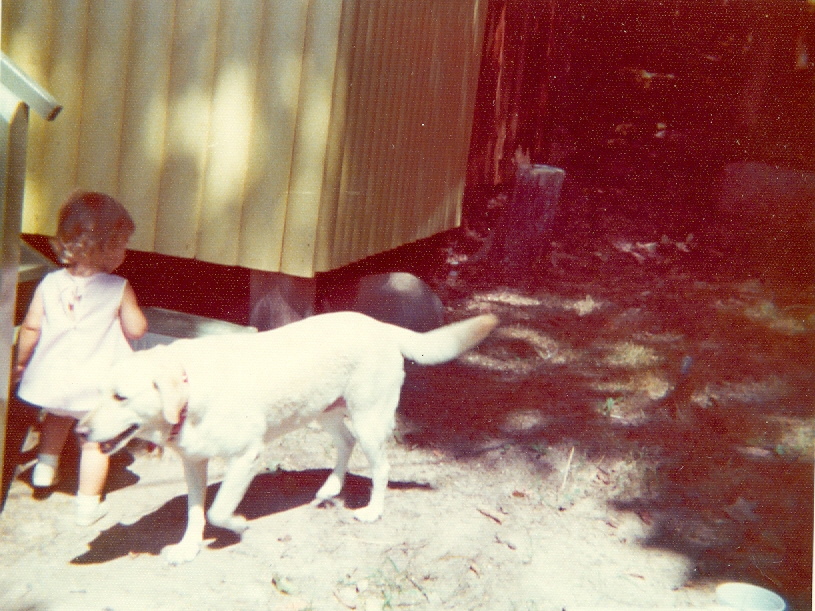 The friendly lab would find her once or twice a day sending our one and a half year old screaming and scurrying for the safety of cabin three.