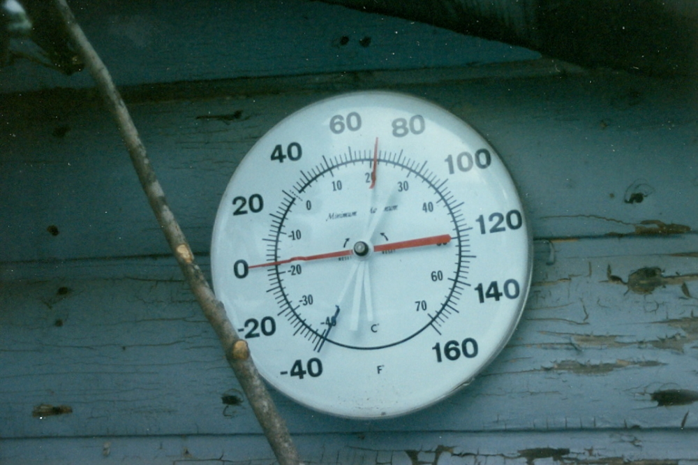 The temperature at the start of the great stick pickup the following morning had some delightful wind to go with it.