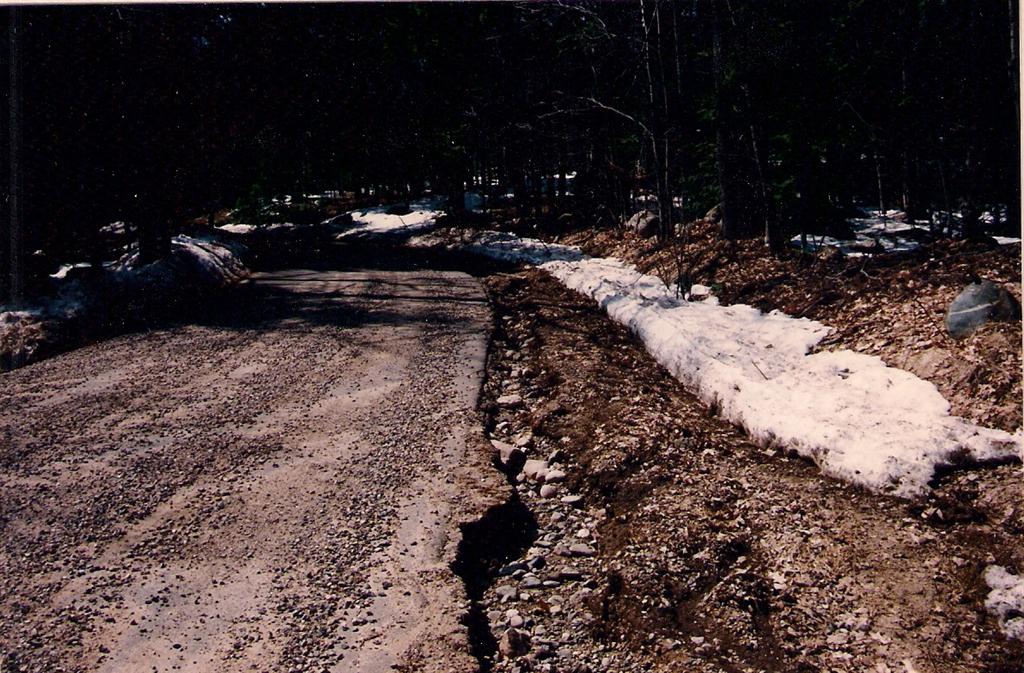 The thaw may not have taken much of the lake ice, but the snow around the area has been mostly melted. Judging from the damage to West Shore Drive, it was quite a melt.