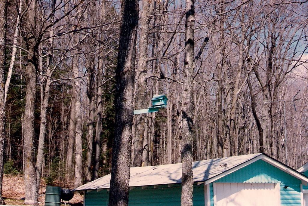 We especially like it when cabin owners take the time to match the cabin, garage and bird house. Well done.