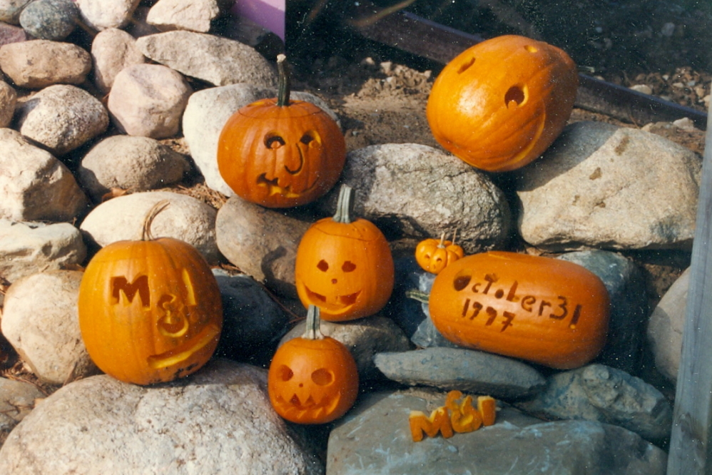 Still other pumpkins of note included the current date one and the corporate shill gourd. 