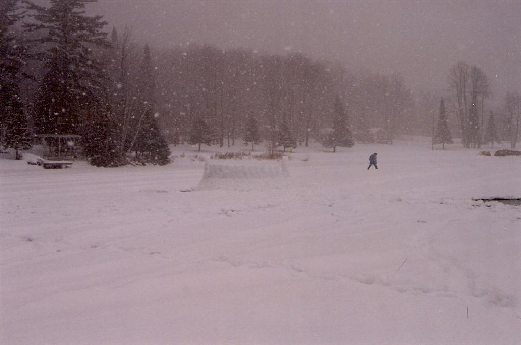 Sunday morning's stick pick-up has been called many things, none of them pleasant. Plus it snowed.