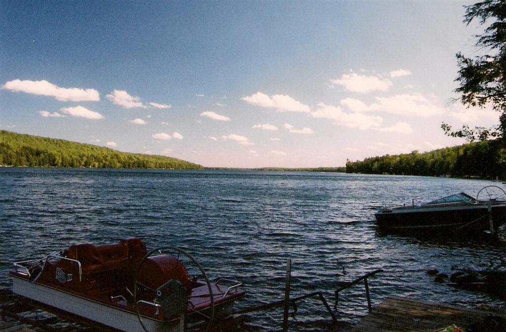 The fish are biting, the hills are green, the days are in the 70s and 80s (°F), the nights are in the 50s°F, and there is no snow in the forecast for the next several weeks. Huzzah! Lake Lucerne started the extended weekend at 61°F. By Sunday, it was 67°F. I love this time of year, except for the having to head back to work part. We'll return in a few weeks to catch more fish and water the beans.<br><br><br>-Nemo lawyered up just after being mirandized and plans to plead "Hungry". 