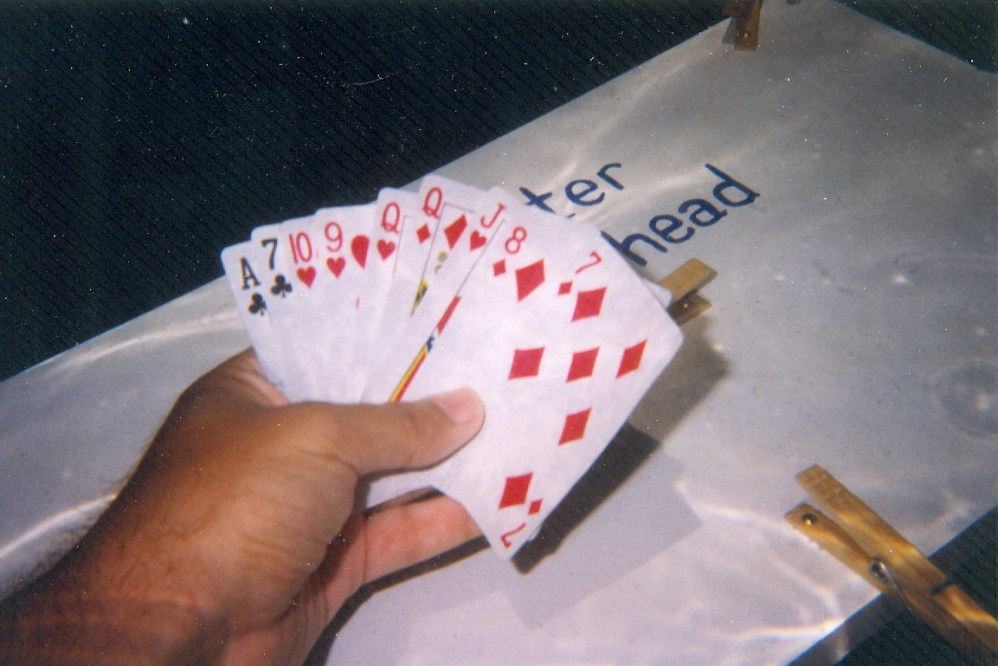 In some ways, playing under the lake is similar to terrestrial card games with the dealing, turn taking, and and me getting hands that shouted "Red Death!"