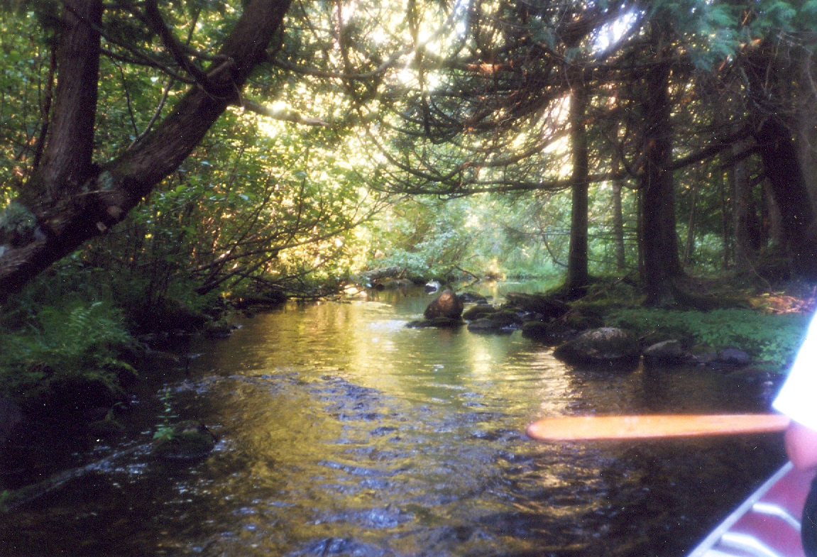 There's a channel joining Lake Wabikon to Lake Riley. You can get to Riley by hiking through the forest and braving the flocks of black flies that swarm the lake's shore or you can take the largely fly free channel. We took the channel.