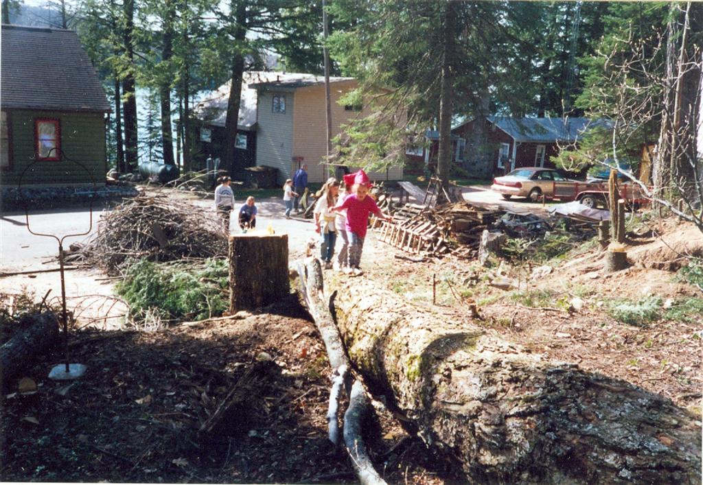 With the dog restrained, the old car hole was removed and trees dropped to make room for a new, larger car hole. We were told that some of the larger trees made good balance beams.