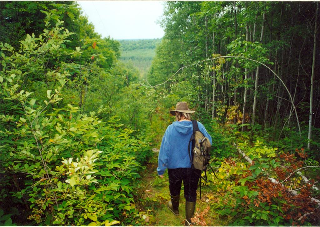 The weather was poor. It was coolish and rainy all weekend. We took advantage of the non-heat to do some local hiking. First up was the eutrophicated lake we call the "Sponge Forest" just to the west of Sugarbush Hill.