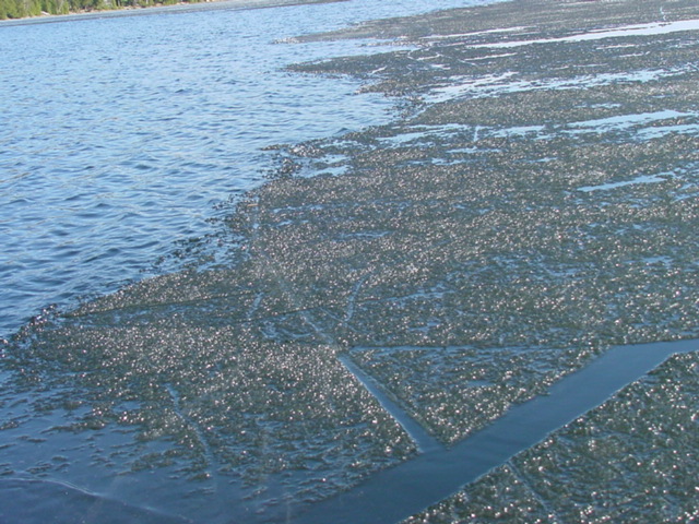 The ice was only 1 inch thick.