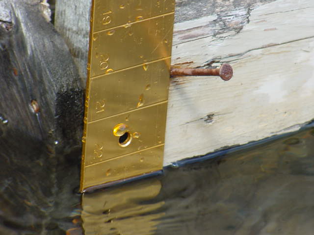 The lake is only 2" below the nail!<br><br><br>-Nemo, the guy with the blue hand and icy grip.