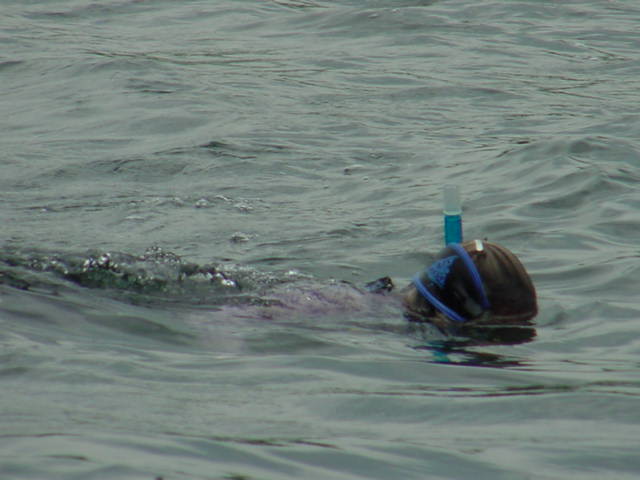 Meg likes to dive.