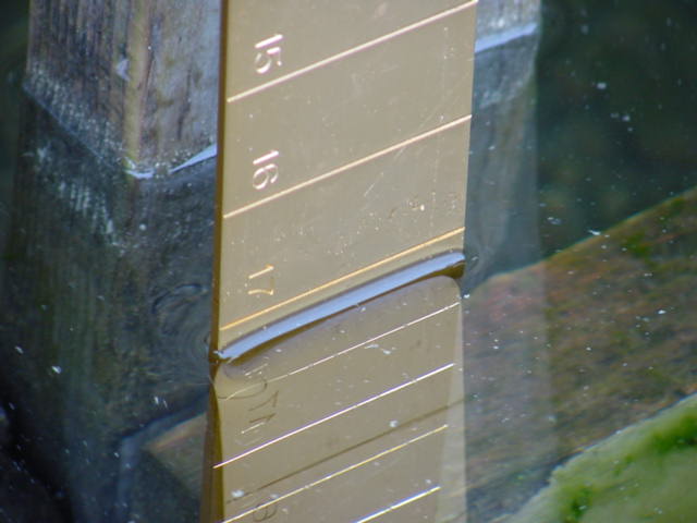 The lake continues to rise! The ruler ends at 22.5 inches making the lake 5.5 inches above the nail.