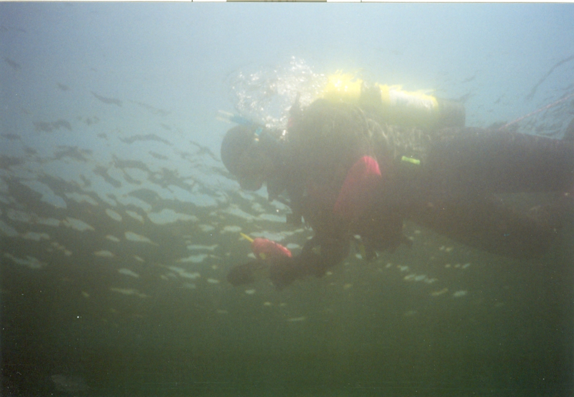 At one point we decided to strap on a tank and see what was up in the deeper water.