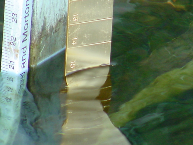 The lake level was under 6 inches above the nail and then the rain came.  It's now 7.5 inches above the nail and rising as the runoff continues to flow into the lake