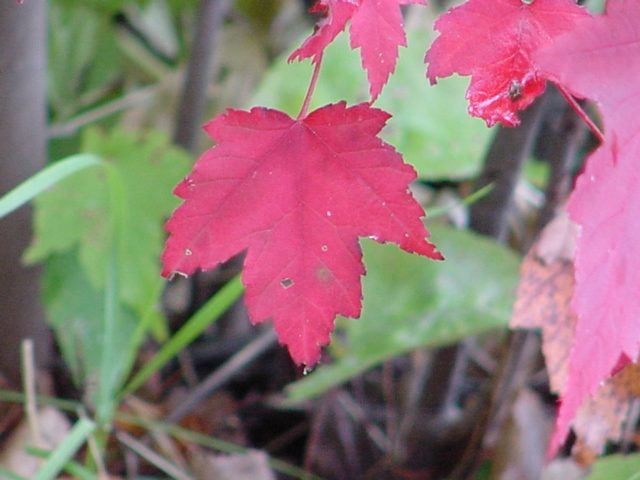 The air is more crisp and there are unmistakable signs of the fall season.