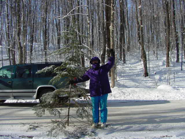 A good candidate was selected and hauled out.  We set it up that day and all that have seen it have asked if I ever saw "A Charlie Brown Christmas", but I like it anyway.