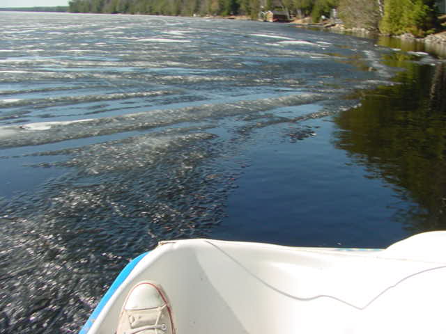 At around noon we launched a paddle boat and explored the edges.