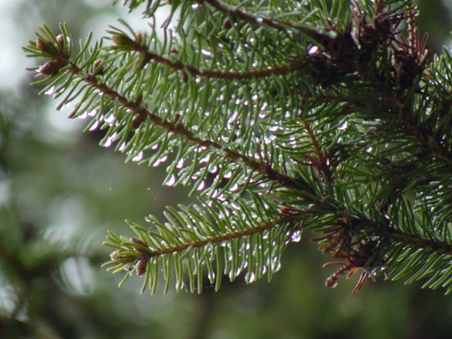 The storms that started Friday late, ended around daybreak on Saturday.  