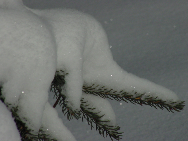 The storm was over by Saturday morning.  About a foot of the frosty crystals collected on all that was uncovered.