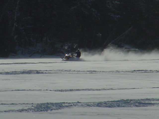 Snowmobiles started to come out at 10:00 AM. We remained very still so as not to startle these otherwise nocturnal creatures as we snapped a few pictures.   The pack of three that we observed frolicked around for half an hour before scampering to the south.