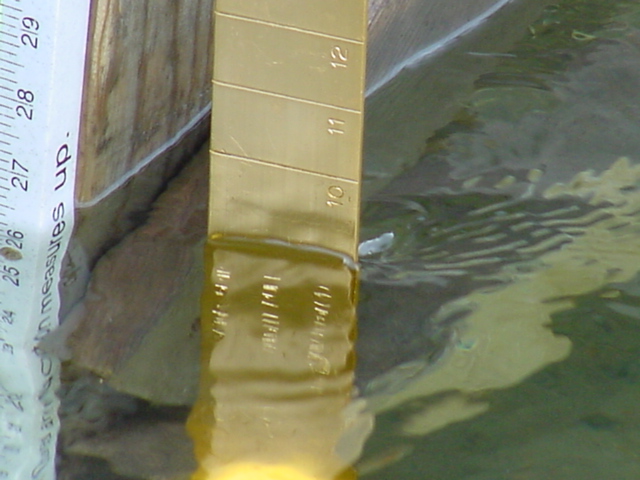 Despite the discrepancy between the predicted rain (lots) and the actual rain (none), the lake level is holding at 9 inches above the nail.