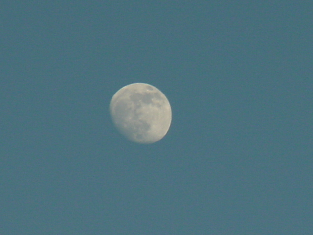 The almost full moon would have put a damper on stargazing if the night remained cloud-free.  The nights were cloudy.