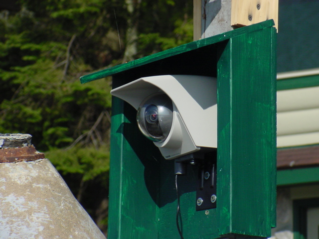A new wabcam housing was put up with the smushing of only one finger.  The cabin's DSL has to be upgraded to 