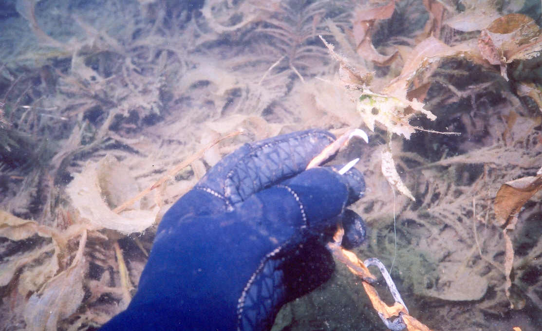 Long exposure to the lake had caused chain to become "thinner".