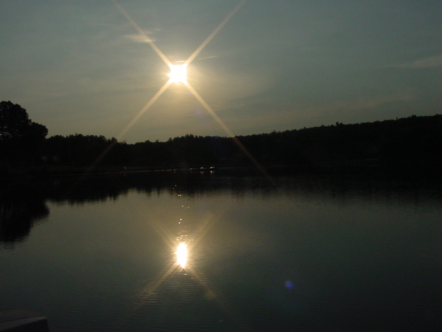 We will be back next weekend for a week.  The webcam is still waiting for a part. I think it's being walked here from Japan.  Starting the 22nd, I'll be posting daily updates as long as our strength holds out.  It's been a long, hot summer.<br><br><br>-Nemo