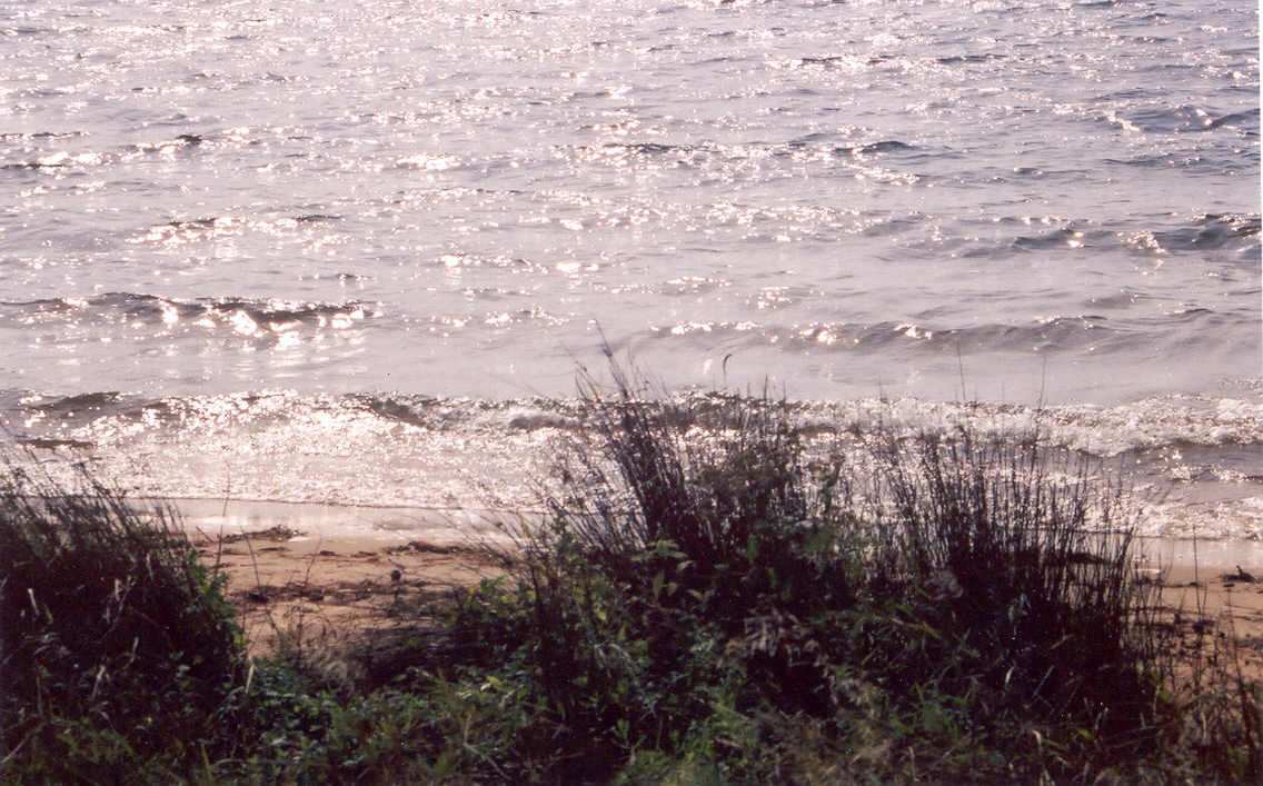 The waves picked up and the skies clouded over late in the afternoon.  Much needed rain fell most of Sunday and into Monday.  We'll be back in 2 weeks to see if the wet weather has had any positive effect on the lake level.<br><br><br>-Nemo