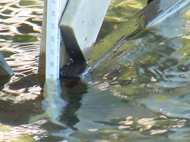 The lake level went over the nail with all the rain last week.  It would be nice to get it up a few more inches before ice-in.
