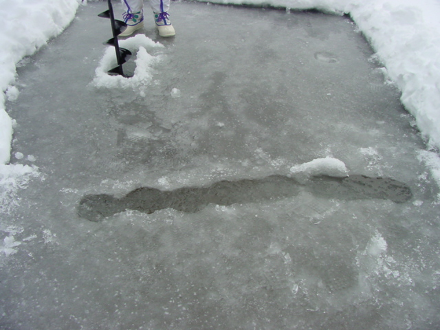 Holes were then augged close enough to connect them into lines using an ice spud.