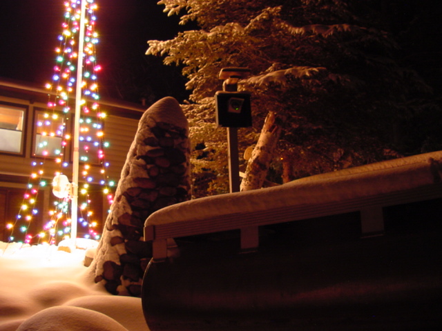 The Christmas lights gave a warm glow to the surrounding area.  The warmth did not penetrate the water at all.  We all knew, with the green glow of the webcam's status light, there would be little chance of chickening out.