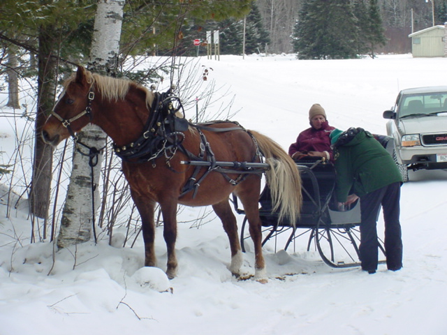 During the day, a one horse open sleigh dashed through the snow.  As they left us over the fields, laughter was heard all the way.
