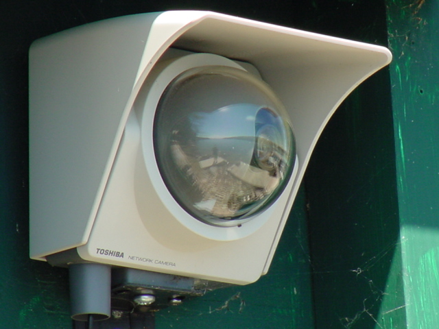 The webcam continues to function well.  Sometime during the summer it will be made streaming again.