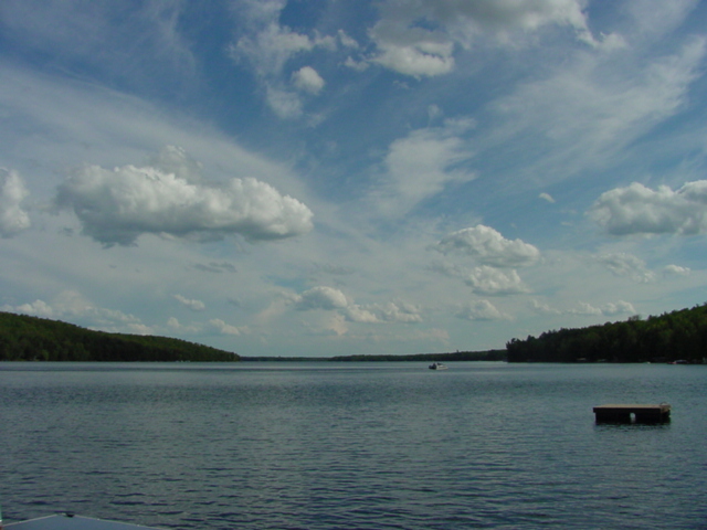 Next weekend it's rails, ramps, and stairs.  The call of non-construction related activities may be strong enough to pull us into the water, golf course, and woods.  Either way, there will be pictures.<br><br><br>-Nemo