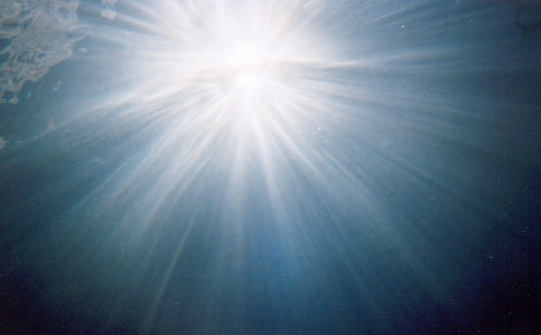 There were a few cloudy days last week but when the sun was out there was no escape from the heat.  Even under a few feet of water, as seen here, it was bright.