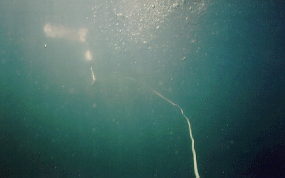 In other lakes, the view of your dive flag from 20 feet below would never be this clear.