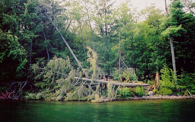 Damage from the big summer storm is still evident.  The north end of the lake was largely spared.  From just above mid-lake south there are downed trees still splayed on the shore. 