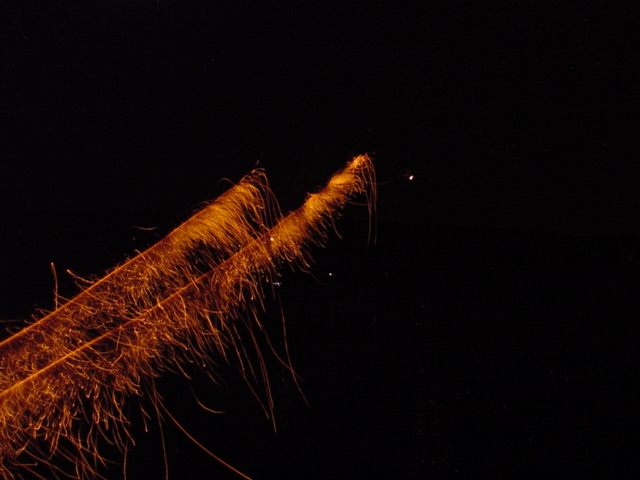 Bottle rockets were sent into the sky to celebrate the summer and practice for upcoming winter events.