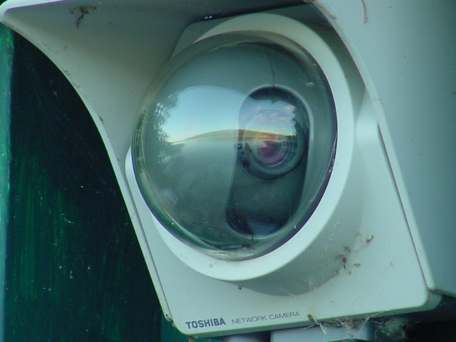 The webcam has preformed well all summer.  A new cold-weather enclosure should keep the pictures coming all winter.  I've thought of a way to make the live image be "reflected" from the bandwidth of this site's host.  I'll be implementing it this fall if it works.