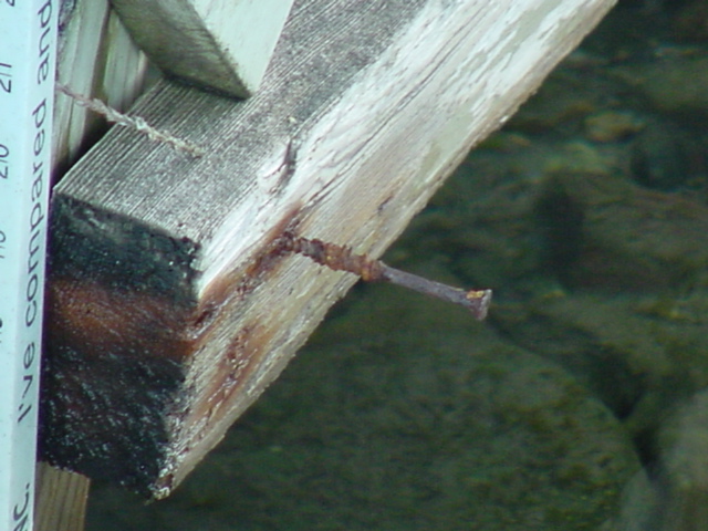 The lake level is still down below the nail (about 5 inches) but not dropping as fast as past Augusts.