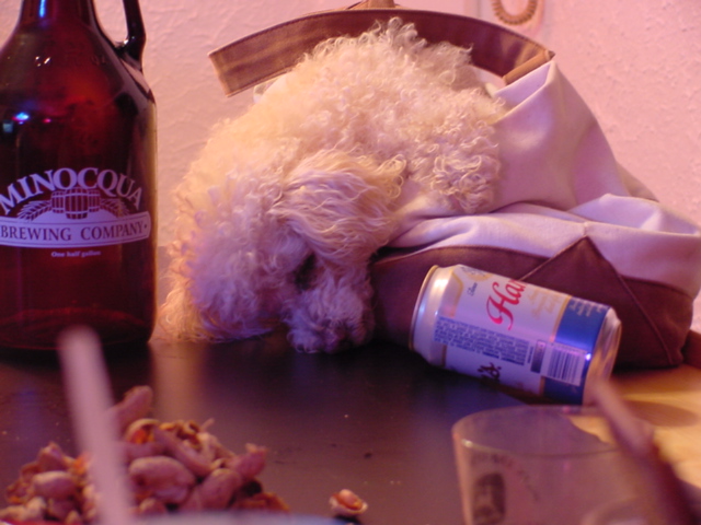 Saturday's bar night was friendly and well populated.  It was noted that some species handle their beverage better than others.