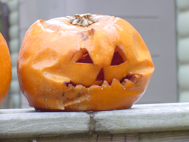 The pumpkins from last month have not faired well.  In addition to a large under-bite, this one had the kind of structural problem (extreme gooey-ness) that made it hard to pick up.