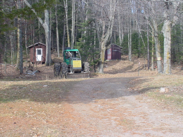 The replacement for cabin 5 at Timber Shores is up.  It's green, a little cozy, and sits on large, round rubber footings.  I didn't get a good look at the interior, but it currently seems to be furnished with one big chair overlooking the lake.  I'd rent it.