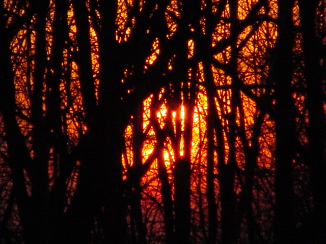 I'm always amazed at the contrast of sunset times in late fall and summer.  In summer at 4:00 PM we are frequently deciding between golfing, skiing or other.  Now, at 4 in Fall,  the evening has expired and skunked hunters are filing out of the woods and into the bars
