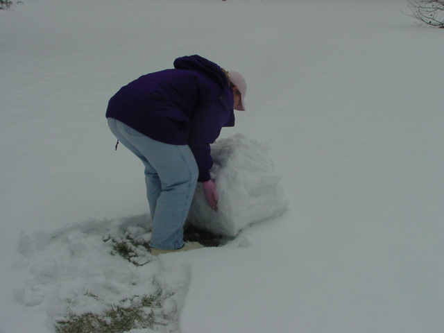 Some took advantage of the packing nature of the snow and rolled several large snowballs.