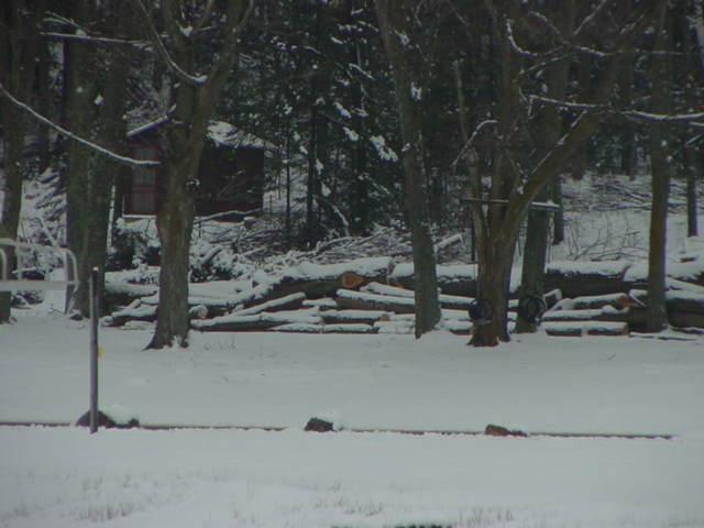 The logging at Timber Shores is past the cut phase and into the pick period.  Quite a few cords are on the ground.