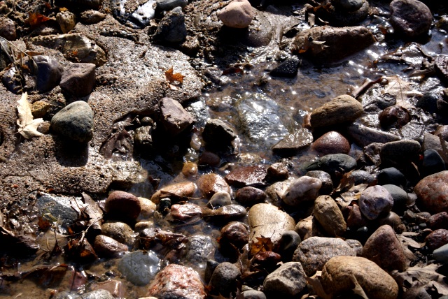 All the runoff from the thaw is filling streams flowing into the lake.  The sound of running water can be heard throughout the area both day and night.  
