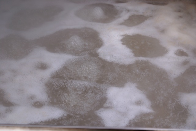 The boil was hard and the smell sweet.  A few hours later, this was syrup.
