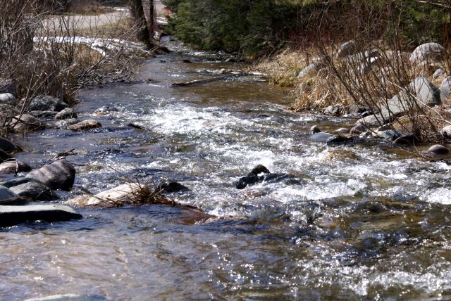 The stream flowing out of Metonga was full.  If only there was a way to filter all the invasive species out and divert it into Lucerne.